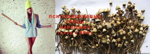 гашишное масло Лабытнанги