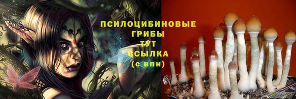 спайс Абдулино