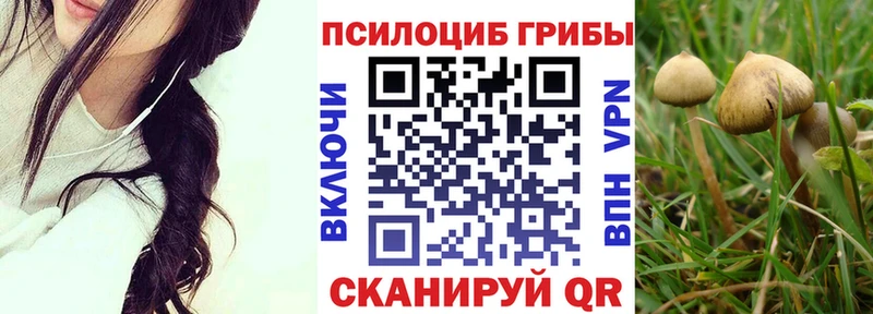 Галлюциногенные грибы GOLDEN TEACHER  наркотики  Горячеводский 